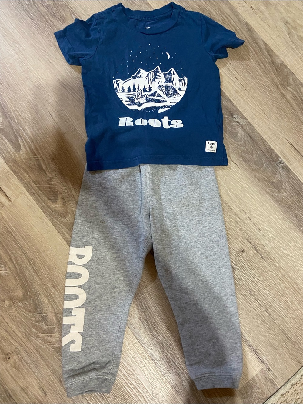 Roots Navy Graphic Tee and Gray Sweatpants Kids Set